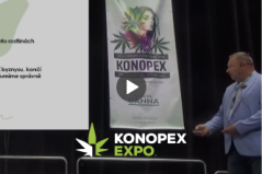 Konopex 2024 - Ing.František Bednařík